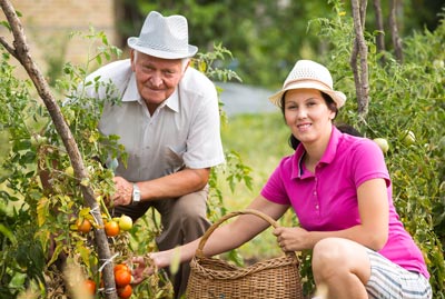 Roundup Leukemia Risk